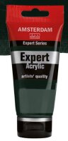Amsterdam Acryl Expert 75 ml Elfenbeinschwarz