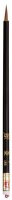 China Pinsel 1001 Gr.  6