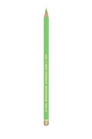 Polycolor  22 Yellowish Green